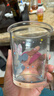 迪士尼(Disney)玻璃杯反口杯星星米奇高顏值正版杯子女生水杯 米妮反口杯 350ml 曬單實(shí)拍圖