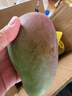 京地達海南貴妃芒果 凈重8斤超大果200g+肉厚無(wú)絲香甜新鮮水果源頭包郵 曬單實(shí)拍圖