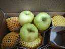甘肅正宗瑞雪蘋(píng)果新鮮當季青蘋(píng)果孕婦純甜無(wú)酸帶花香現采摘整箱 帶箱9斤凈重8斤 大果80mm+ 曬單實(shí)拍圖