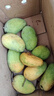 京喜加海南臺芒新鮮芒果生鮮水果時(shí)令鮮果 凈重5斤60+ 曬單實(shí)拍圖