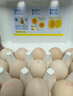 黃天鵝可生食鮮雞蛋36枚禮盒裝1.908kg鮮雞蛋禮盒送禮基地直發(fā)新鮮 36枚禮盒裝 曬單實(shí)拍圖