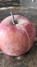 京鮮生 塞外紅 阿克蘇蘋(píng)果 凈重10斤 單果230g起 生鮮水果 曬單實(shí)拍圖