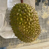 趣嘗鮮貓山王榴蓮馬來(lái)西亞D197液氮冷凍凈重4.0-4.5斤/個(gè) 保5房 曬單實(shí)拍圖