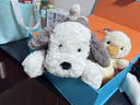 Jellycat唐布利牧羊犬動(dòng)物毛絨玩偶安撫玩具狗公仔娃娃送禮生日禮物 唐布利牧羊犬禮盒裝 Medium 曬單實(shí)拍圖
