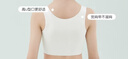 FitonTon2件裝女童內衣發(fā)育期7-13歲薄款夾棉小背心大童小學(xué)生少女文胸 曬單實(shí)拍圖