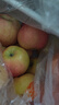 龍多鮮新疆冰糖心蘋(píng)果 丑蘋(píng)果 新鮮富士應季水果 節日送禮推薦 整箱5斤精選好果約130-200g凈4.5斤 曬單實(shí)拍圖