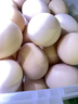 鄉公館土雞蛋新鮮農家散養谷物喂養無(wú)抗土雞蛋柴笨雞蛋草雞蛋新鮮整箱裝 土雞蛋60枚  整箱2.4kg 曬單實(shí)拍圖