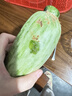 粵迎山東羊角蜜甜瓜【閃送-多地次日達】現摘脆甜香瓜應當季新鮮水果 5斤分享裝【多人分享-蕞劃算】?jì)?.5斤 S+級甄選果【產(chǎn)地直發(fā)/單果250g+】狠甜 曬單實(shí)拍圖