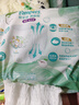 幫寶適超薄透氣清新幫拉拉褲新生兒嬰兒尿不濕尿片透氧Pro XXL50 曬單實(shí)拍圖