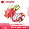 佳農 越南進(jìn)口白心火龍果4粒 中小果 單果300g-400g 生鮮水果源頭直發(fā) 曬單實(shí)拍圖