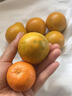 山姆大叔 融安脆蜜金桔金柑第三代【JD順豐-多地次日達】水果禮盒裝禮物 【甜度升級-80%選擇】24-30個(gè)/斤｜脆蜜金柑 5斤裝【超值推薦-80%選擇】?jì)?.5 曬單實(shí)拍圖