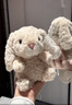 Jellycat米色甜美小兔小短腿公仔動(dòng)物毛絨玩偶娃娃送禮生日禮物 甜美小兔 One Size 曬單實(shí)拍圖