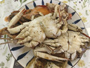 舟山梭子蟹鮮活特大野生大螃蟹新鮮冷凍海鮮水產(chǎn)海蟹飛蟹白蟹順豐 凈重3-4兩/只【10只 精品野生】 曬單實(shí)拍圖