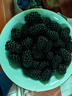 怡顆莓【商超品質(zhì)】當季云南樹(shù)莓黑莓 國產(chǎn)新鮮樹(shù)莓大果 生鮮水果送禮 云南黑莓125g*4盒（果徑15~25mm） 曬單實(shí)拍圖