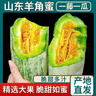 洮小嬋山東羊角蜜甜瓜 新鮮當季應季時(shí)令水果 脆甜蜜瓜香瓜整箱 帶箱5斤 單果250-350g 凈重4.5斤 曬單實(shí)拍圖