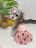阿莫爾寵物狗狗衣服夏季薄款防掉毛透氣貓咪夏裝比熊短袖裙子2026新款 粉色草莓（送頭飾） XS（建議1-2斤內寵物）主要參考胸圍背長(cháng) 曬單實(shí)拍圖