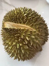 榴小橔泰國進(jìn)口榴蓮水果榴蓮鮮果生鮮保鮮巴掌整個(gè)帶殼甲侖榴蓮 凈重2-3斤（2-3房） 曬單實(shí)拍圖
