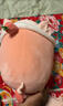 名創(chuàng  )優(yōu)品（MINISO）小豬B-BO系列-草莓趴姿毛絨公仔玩具玩偶娃娃抱枕靠枕生日禮物女 曬單實(shí)拍圖