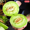 京地達海南玉菇甜瓜冰淇淋蜜瓜凈重5斤單果1000g+新鮮水果源頭直發(fā)包郵 曬單實(shí)拍圖
