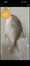 翔泰冷凍海南金鯧魚(yú)700g（2條） 曬單實(shí)拍圖