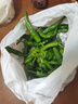湖南樟樹(shù)現摘新鮮薄皮小青椒超市品質(zhì)生鮮蔬菜辣椒 凈重1斤1人一餐炫完 曬單實(shí)拍圖