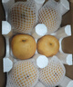 京鮮生山東煙臺萊陽(yáng)秋月梨凈重8斤 單果250g+ 生鮮水果 源頭直發(fā)包郵 曬單實(shí)拍圖