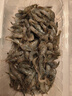 【時(shí)令海鮮】冰鮮小河蝦200g 曬單實(shí)拍圖