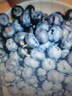 京鮮生 云南藍莓 12盒中果14mm+ 125g/盒 生鮮水果 源頭直發(fā) 曬單實(shí)拍圖