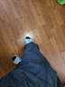 牛仔工作褲男耐磨寬松休閑干活上班穿的勞保褲春秋冬季工作服褲子 433灰色【常規款】 3XL 建議140-155斤 曬單實(shí)拍圖