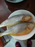 冰鮮 黃花魚(yú)200-300g/條 曬單實(shí)拍圖
