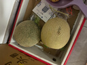 京鮮生 海南網(wǎng)紋蜜瓜 2粒裝 凈重4-5斤 單果2斤起 生鮮水果禮盒  曬單實(shí)拍圖