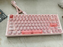 ATKRS7Air磁軸鍵盤(pán) 75配列RT客制化電競游戲機械鍵 有線(xiàn)全鍵熱插拔辦公81鍵 RS7 Air粉白冰刃軸 曬單實(shí)拍圖