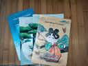 FAN BEAUTY DIARY面膜組合 海葡萄2片+龍血2片+睡美人2片 補水保濕熬夜 曬單實(shí)拍圖
