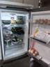 海爾冰箱182升雙門(mén)兩門(mén)冷藏冷凍迷你節能七檔調溫雙門(mén)雙溫區租房小型家用BCD-182LHC2E0YH以舊換新 曬單實(shí)拍圖