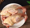 硒全食美富硒老鴿王 450g/只 冷凍 鴿子生鮮冷鏈 煲湯鴿子肉鴿子湯老鴿子 曬單實(shí)拍圖