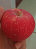 洛川蘋(píng)果 陜西水果紅富士蘋(píng)果時(shí)令新鮮水果 15枚70mm優(yōu)選果 手提禮盒裝 曬單實(shí)拍圖