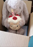 Jellycat害羞生日米色邦尼兔動(dòng)物毛絨玩偶安撫娃娃送禮生日禮物 害羞生日米色邦尼兔 Medium 曬單實(shí)拍圖