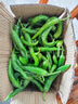 湖南樟樹(shù)現摘新鮮薄皮小青椒超市品質(zhì)生鮮蔬菜辣椒 凈重2.8斤嘎嘎下飯 曬單實(shí)拍圖