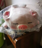 名創(chuàng  )優(yōu)品（MINISO）小豬B-BO翅膀款趴毛絨公仔玩具玩偶抱枕娃娃靠枕生日禮物女 曬單實(shí)拍圖