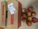 阿克蘇蘋(píng)果新疆阿克蘇冰糖心蘋(píng)果 當季應季新鮮時(shí)令水果整箱紅富士丑蘋(píng)果 10斤精品中果 單果69-90mm 凈重8.5斤 曬單實(shí)拍圖