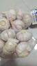 大蒜頭出口品質(zhì)網(wǎng)兜紫蒜蔬菜調料新鮮大果燒烤火鍋食材 山東【精品網(wǎng)兜裝】?jì)糁?.8斤裝 925g 曬單實(shí)拍圖