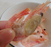 鮮京采帶籽熟凍北極甜蝦 凈重3斤/盒 135-195只 曬單實(shí)拍圖