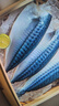 美加佳挪威青花魚(yú)片凈重2斤（8-10片）鯖魚(yú)去頭去尾去臟 曬單實(shí)拍圖