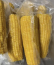 十月稻田 黃甜糯玉米 8根 3.52斤 真空包裝 東北粘玉米棒 低脂早餐 曬單實(shí)拍圖