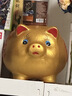 金豬存錢(qián)罐只進(jìn)不出兒童陶瓷儲蓄罐儲錢(qián)罐大容量可愛(ài)擺件生日禮物 【可取錢(qián)】10寸-可存3萬(wàn) 曬單實(shí)拍圖