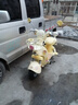 愛(ài)瑪（AIMA）墩墩電動(dòng)車(chē)黃油小熊聯(lián)名款高顏值女生小型電動(dòng)輕便摩托車(chē) 奶油黃【黃油小熊聯(lián)名+60V21.8AH】 曬單實(shí)拍圖