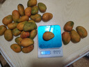 海南小臺甜心芒果臺農芒應季熱帶時(shí)令芒果水果整箱送禮 小臺芒凈重4.5-5斤單果80g+ 曬單實(shí)拍圖