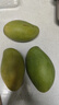 余悅海南金煌芒【多地次日達】新鮮水仙芒果青皮甜心芒果年貨禮盒送禮 帶箱5斤裝【單果300-450g/凈4.5斤】商超品質(zhì) 曬單實(shí)拍圖