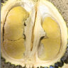 貓山王榴蓮馬來(lái)西亞D197進(jìn)口水果新鮮送禮熟液氮冷凍帶殼美味國外新品 2.5-3斤 曬單實(shí)拍圖