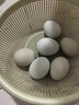 新鮮鮮雞蛋現撿現發(fā)谷物雞蛋初生蛋月子雞蛋40g左右早餐買(mǎi)菜 10枚 曬單實(shí)拍圖